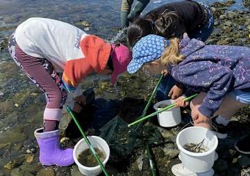 Rockpool Ramble