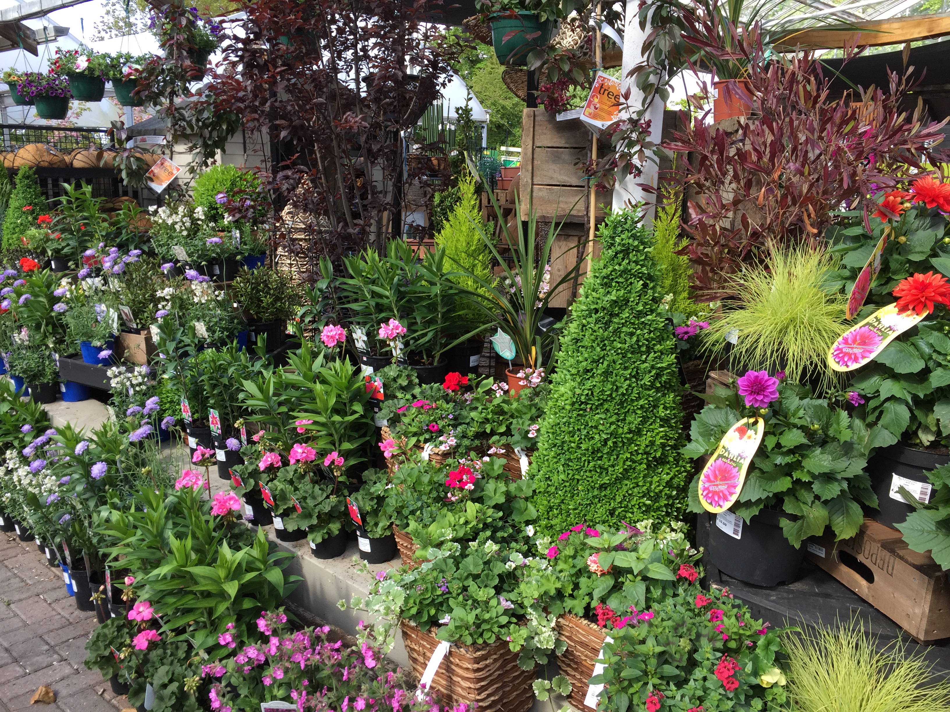 Ransoms Garden Centre