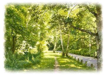 Explore the Vallée des Vaux: A Special Gift