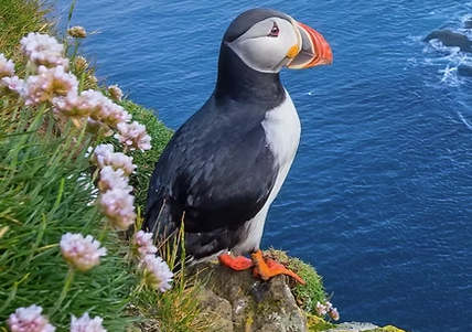 JTGA - Jersey Tourist Guides Association