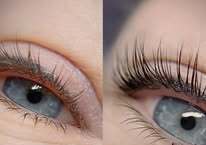Luxe Lashes