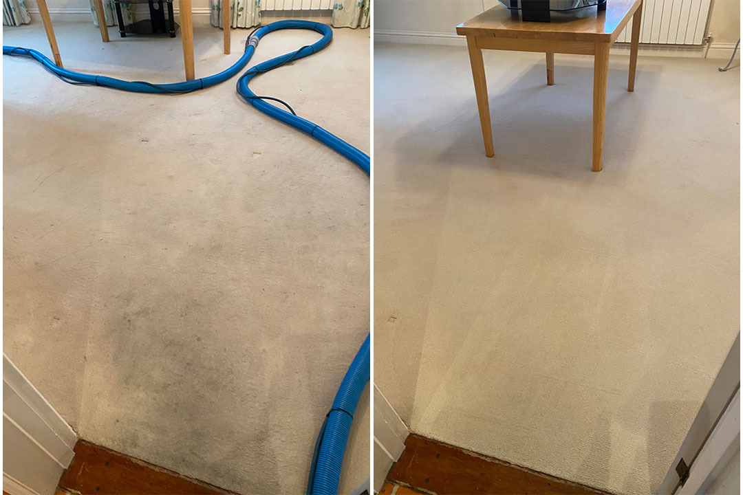 Norberto Cleaning Services