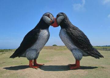 The Big Puffin Come Back - Creative Workshop