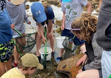  Rockpool Ramble for Families at Le Hocq