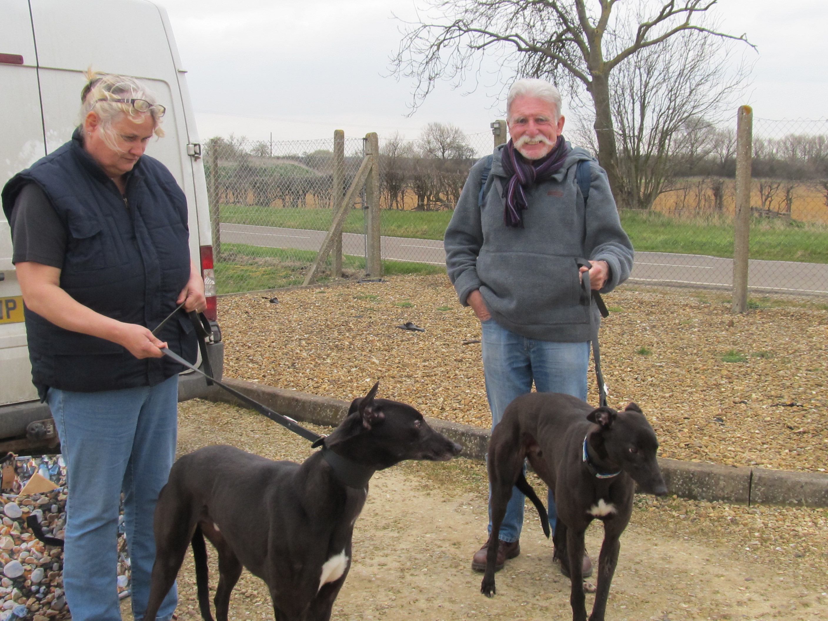 Greyhound Rescue Jersey