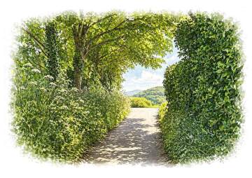 Stroll in Jersey Parish Walk: St Martin