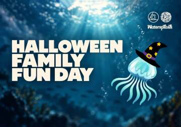 Halloween Family Fun Day