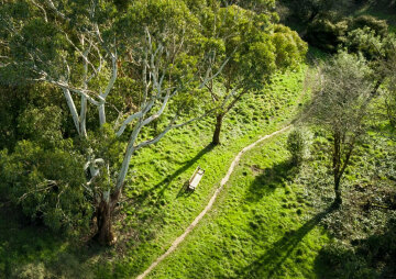 Voluntourism with Jersey Trees for Life