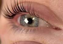 Luxe Lashes