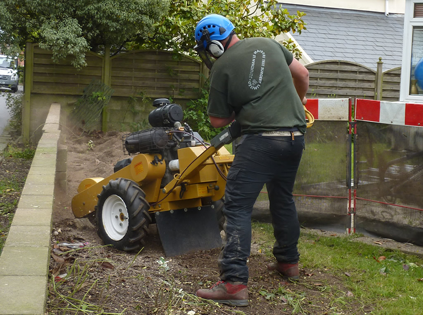 Jonathan Le Maistre Tree Surgery Ltd