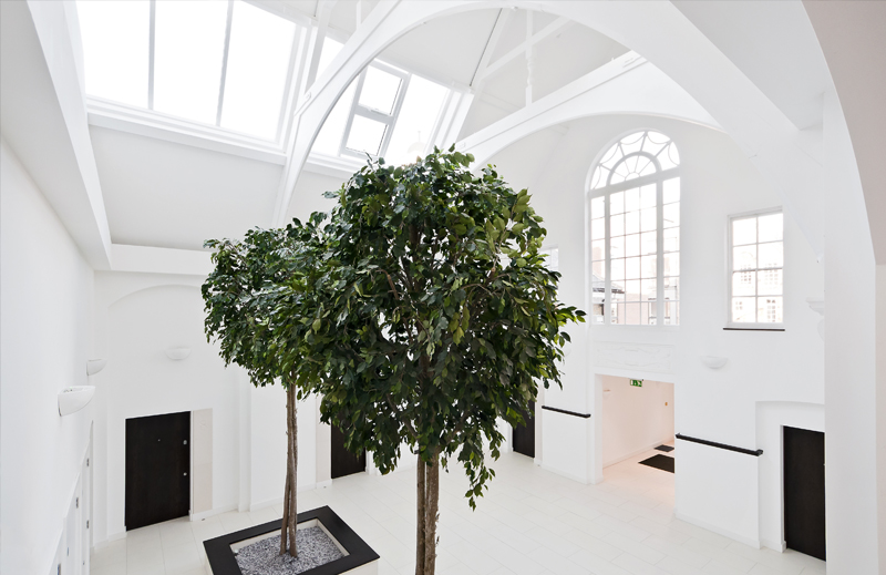 Sonnic Cleaning Services Ltd - Cleaning