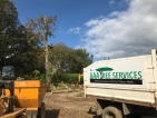 AAA Tree Services