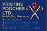 Pristine Pooches Ltd (Mobile Dog Grooming)
