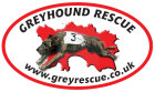 Greyhound Rescue Jersey