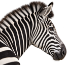 Investec Bank (Channel Islands) Limited - Jersey Branch