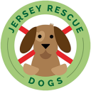 Jersey Dog Rescue