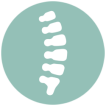 ChiroFit