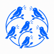 The Natter Network