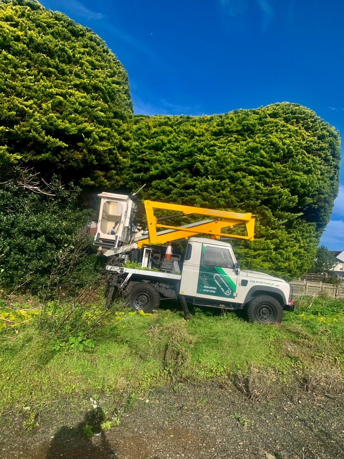 Jonathan Le Maistre Tree Surgery Ltd - Jersey Businesses Directory