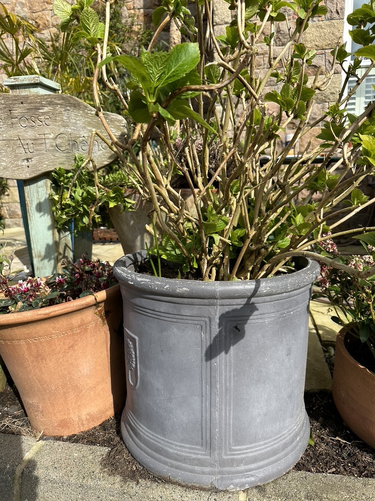 Planted pots Jersey Garden, BBQ & Patio, ( Non Furniture ) Home