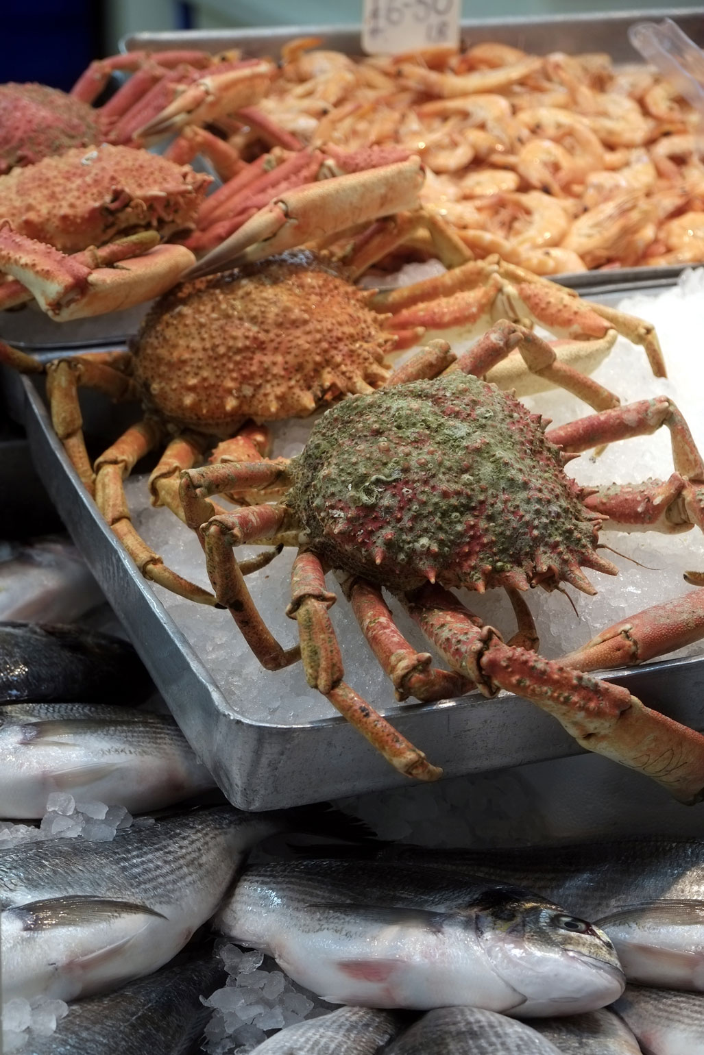 Jersey Food Festivals
